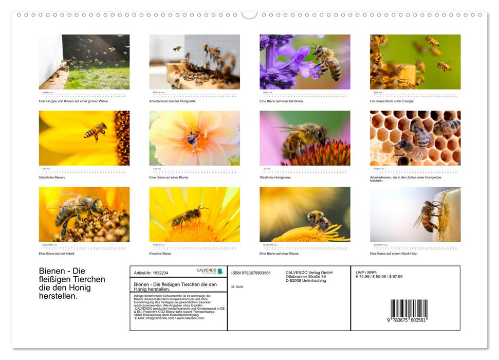Bienen - Die fleißigen Tierchen die den Honig herstellen. (CALVENDO Premium Wandkalender 2024)