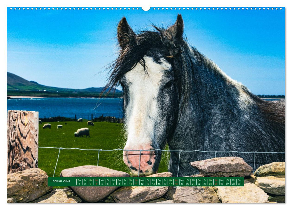 See you in Ireland - Ring of Beara and Ring of Kerry (CALVENDO Premium Wall Calendar 2024) 