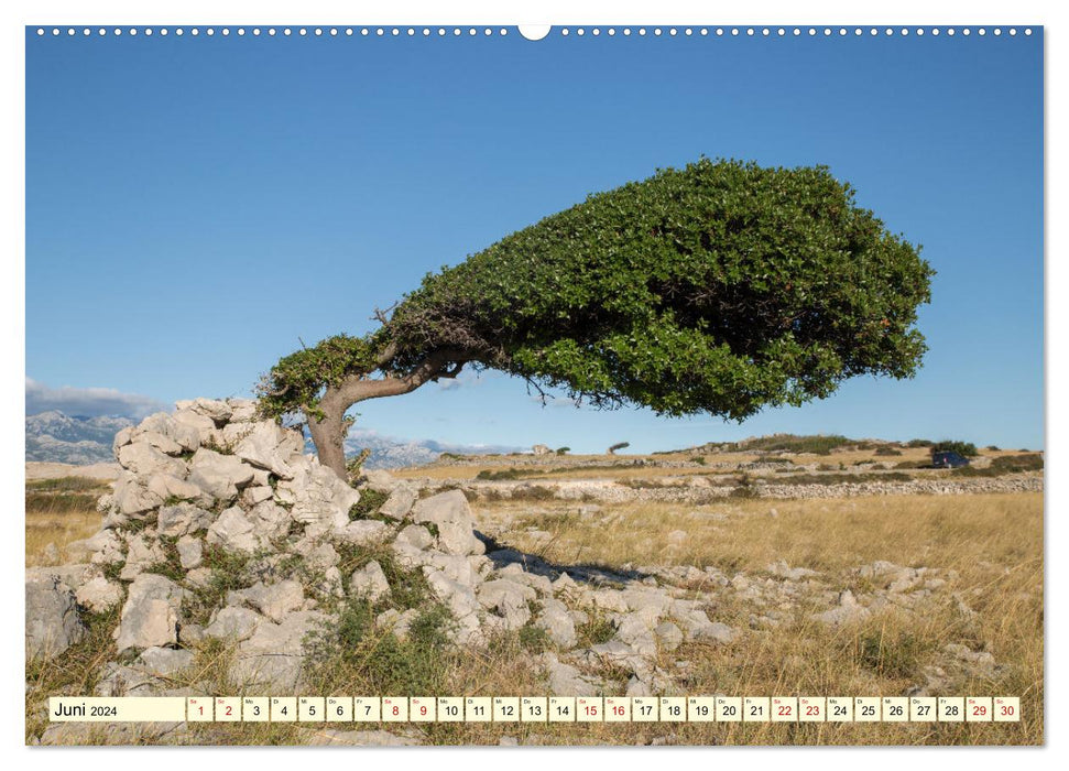 Croatia - forays through breathtaking cultural landscapes (CALVENDO Premium Wall Calendar 2024) 