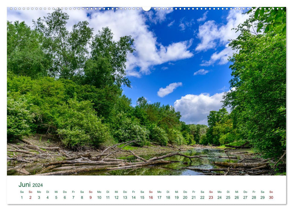 Austria's Danube (CALVENDO wall calendar 2024) 