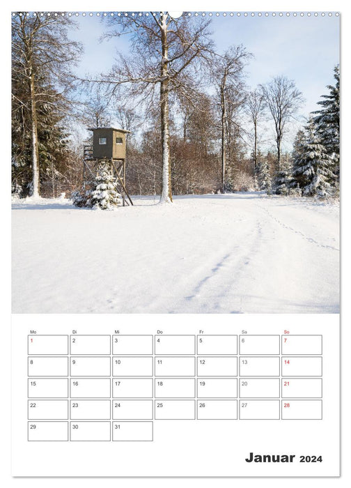 Wittgenstein - A region with impressively beautiful landscape (CALVENDO Premium Wall Calendar 2024) 