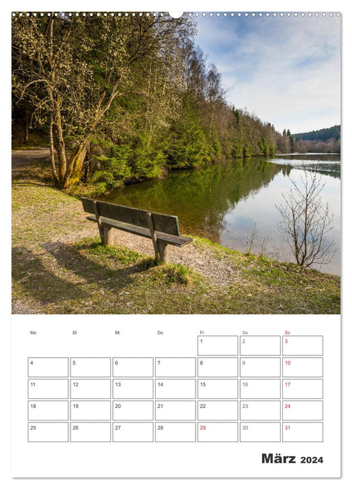 Wittgenstein - A region with impressively beautiful landscape (CALVENDO Premium Wall Calendar 2024) 