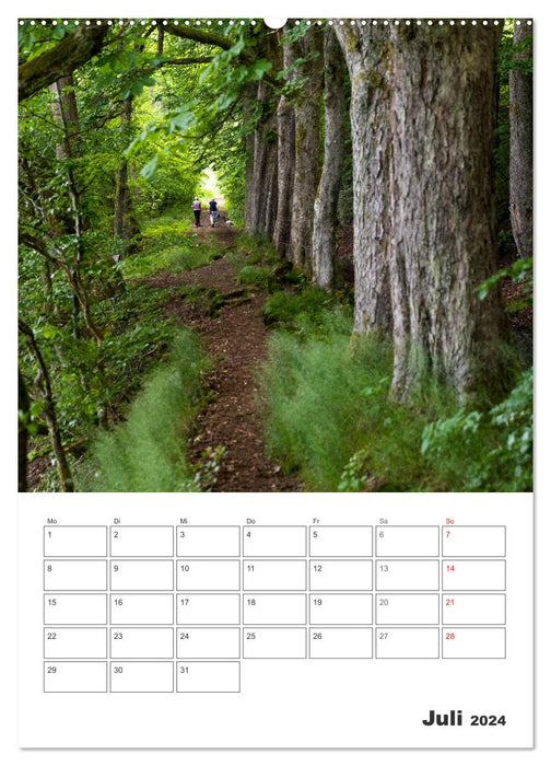 Wittgenstein - A region with impressively beautiful landscape (CALVENDO Premium Wall Calendar 2024) 