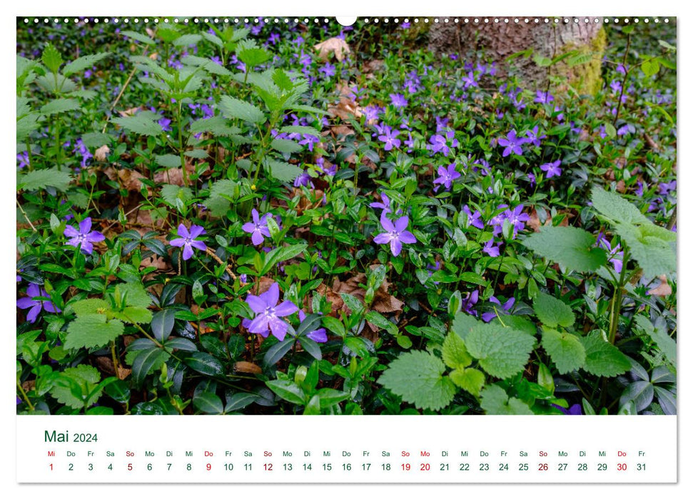 Feldaisttal near Pregarten (CALVENDO wall calendar 2024) 