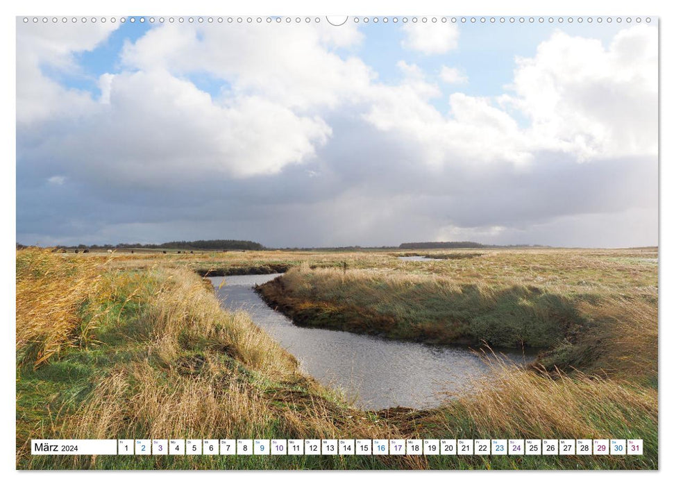 Föhr - Water Landscape Wind and Sea (CALVENDO Premium Wall Calendar 2024) 