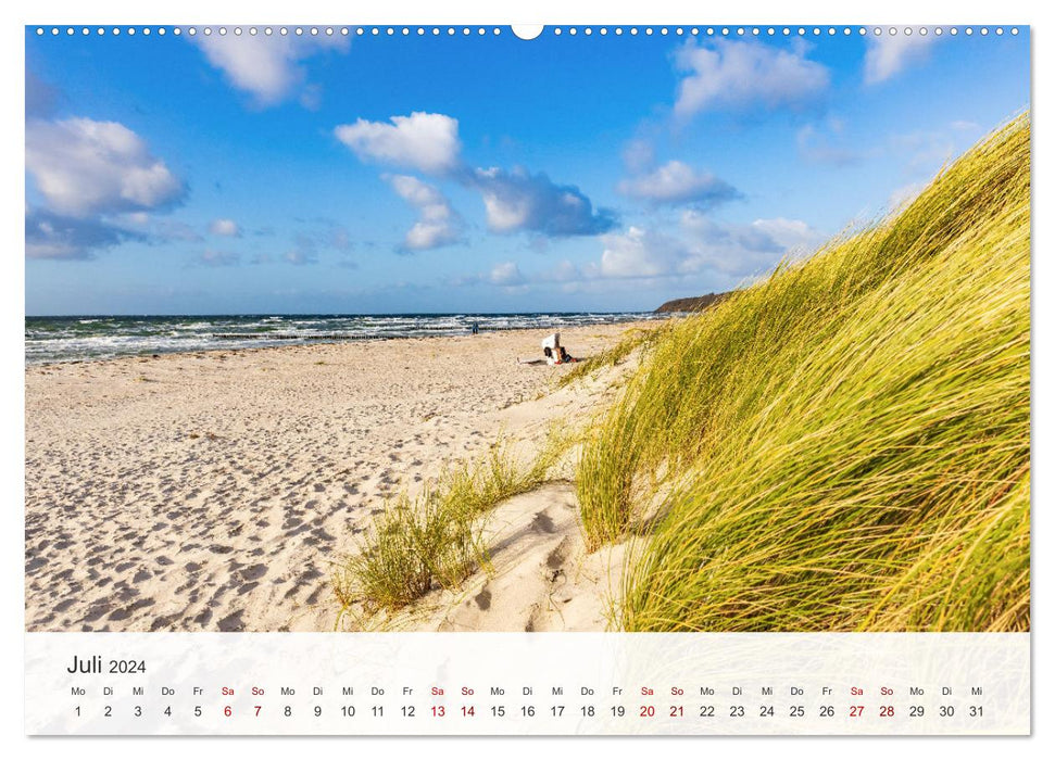 Natürliches Rügen und Hiddensee (CALVENDO Premium Wandkalender 2024)