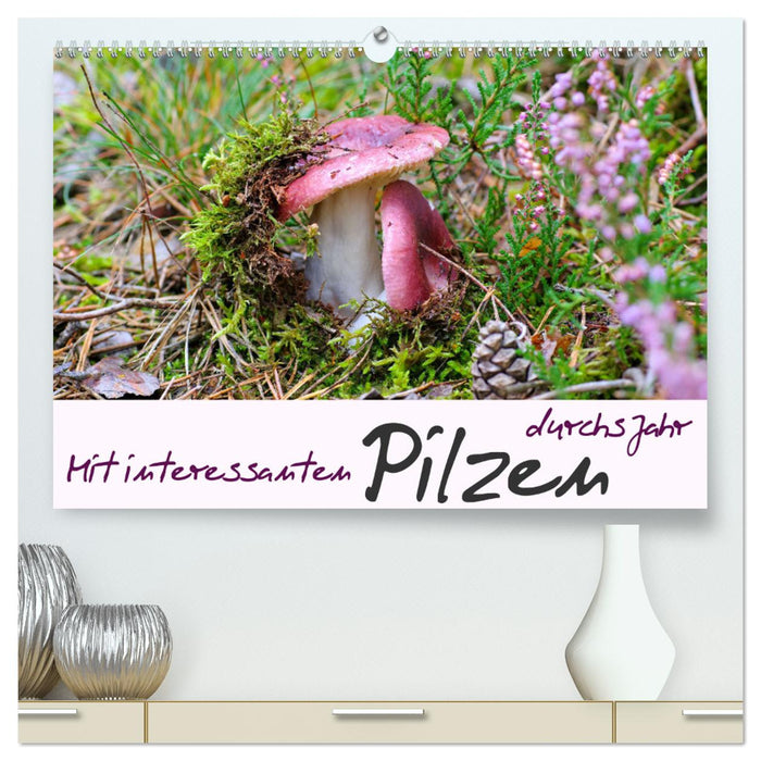 Mit interessanten Pilzen durchs Jahr (CALVENDO Premium Wandkalender 2024)