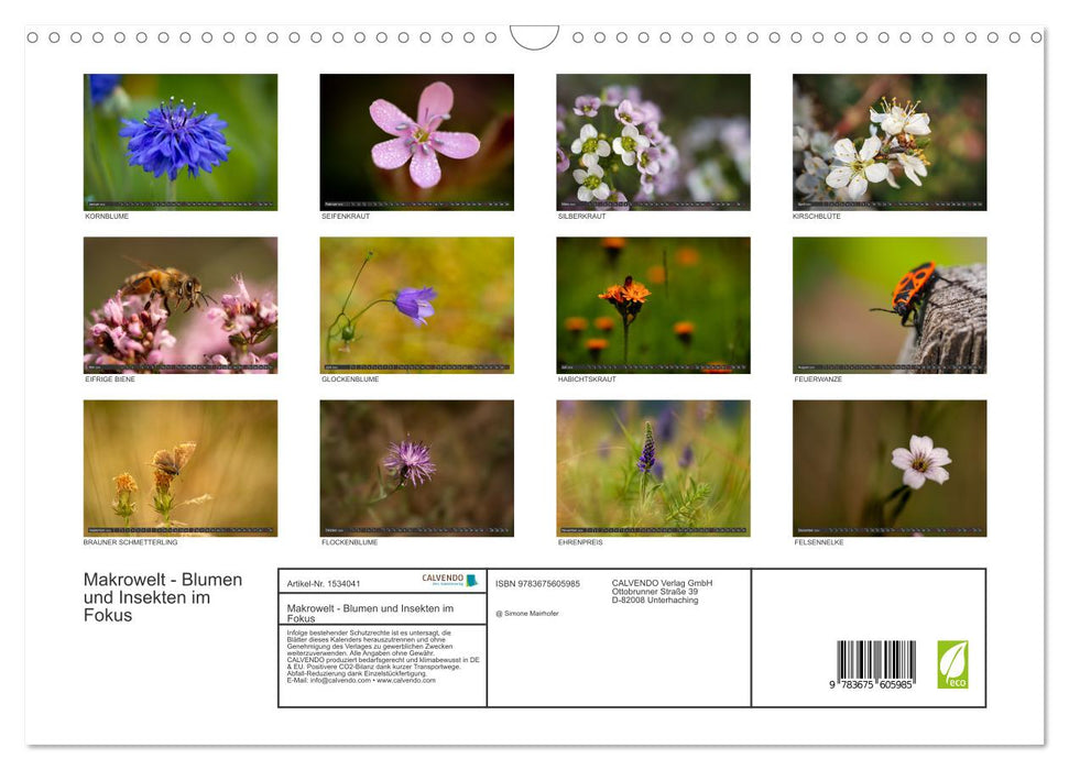Makrowelt - Blumen und Insekten im Fokus (CALVENDO Wandkalender 2024)