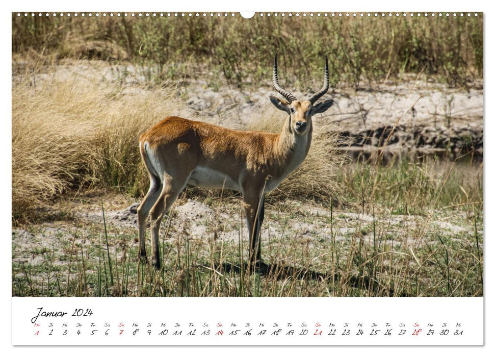 X Days in Namibia – A road trip in the south of Africa (CALVENDO Premium Wall Calendar 2024) 