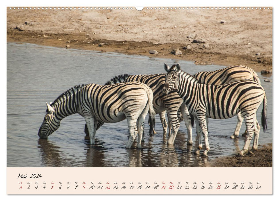 Namibia - From Sossusvlei to Etosha National Park (CALVENDO Premium Wall Calendar 2024) 