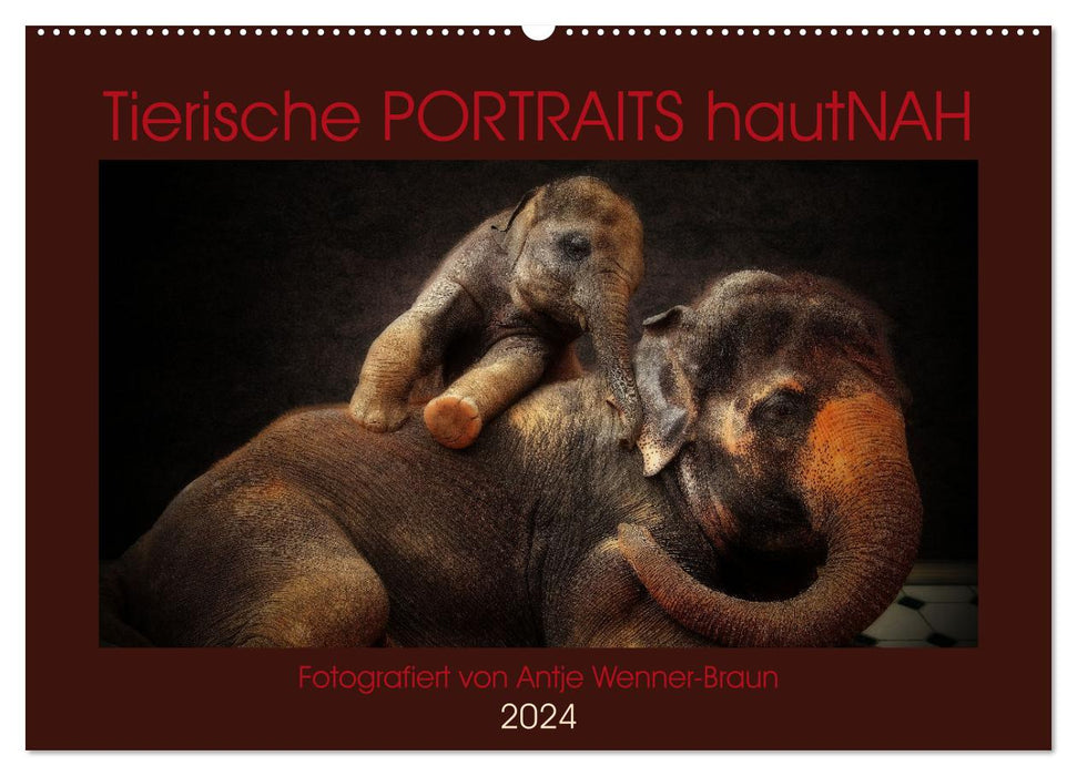 Tierische PORTRAITS hautNAH (CALVENDO Wandkalender 2024)