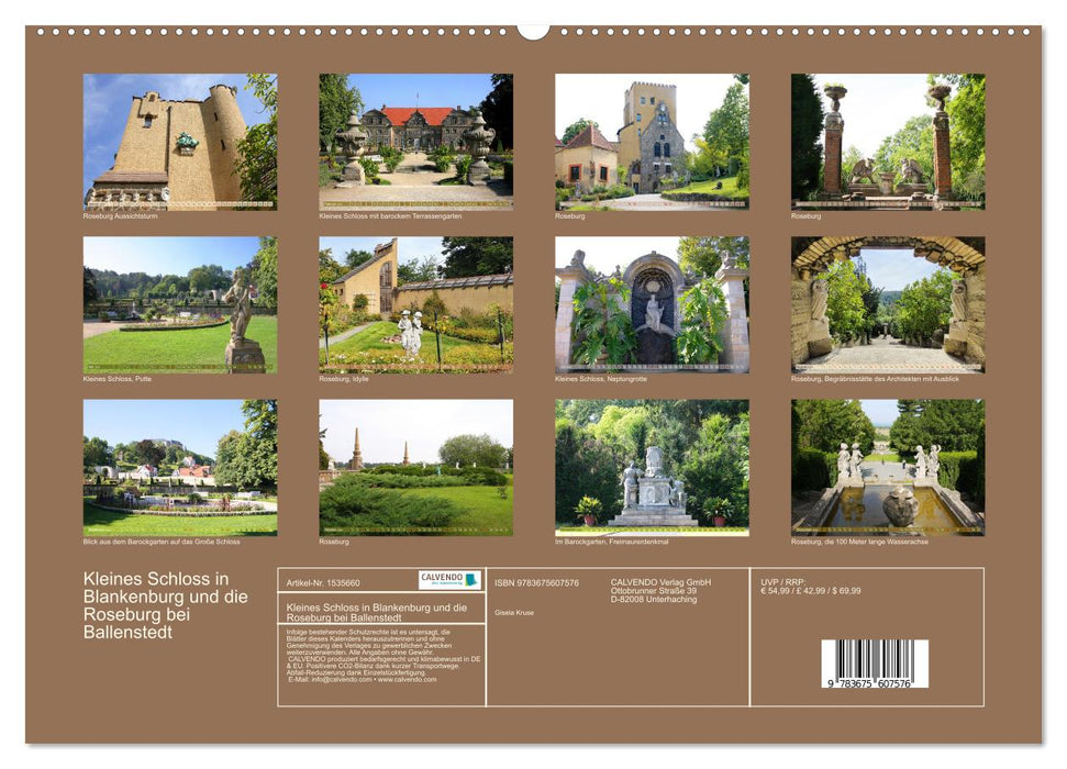 Small castle in Blankenburg and the Roseburg near Ballenstedt (CALVENDO wall calendar 2024) 