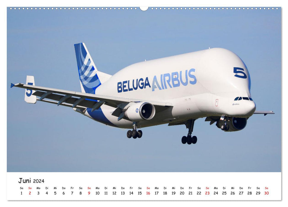 Airplanes in the blue sky (CALVENDO Premium Wall Calendar 2024) 