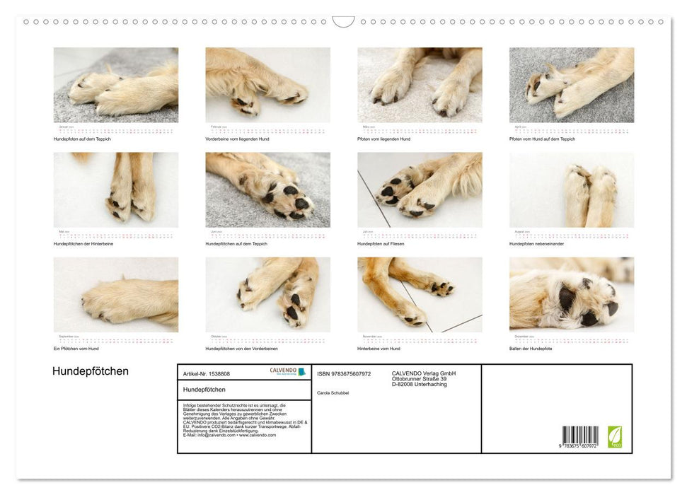 Dog paws (CALVENDO wall calendar 2024) 