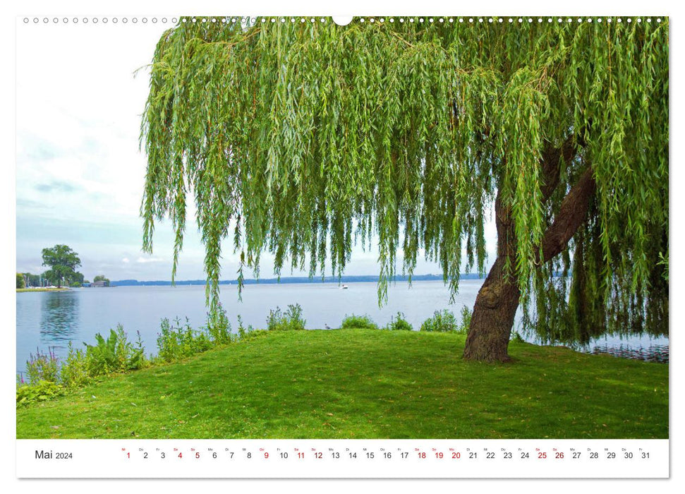 Discoveries in Mecklenburg-Western Pomerania (CALVENDO Premium Wall Calendar 2024) 