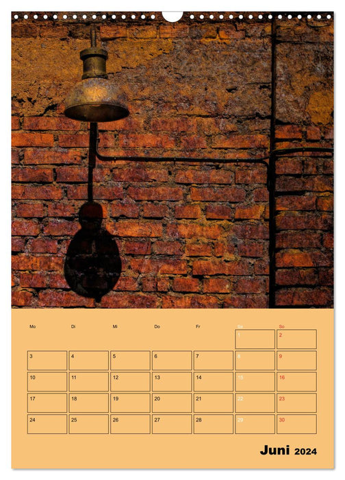 RUST - loved or hated (CALVENDO wall calendar 2024) 