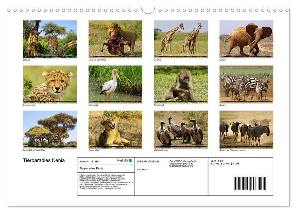 Animal paradise Kenya (CALVENDO wall calendar 2024) 
