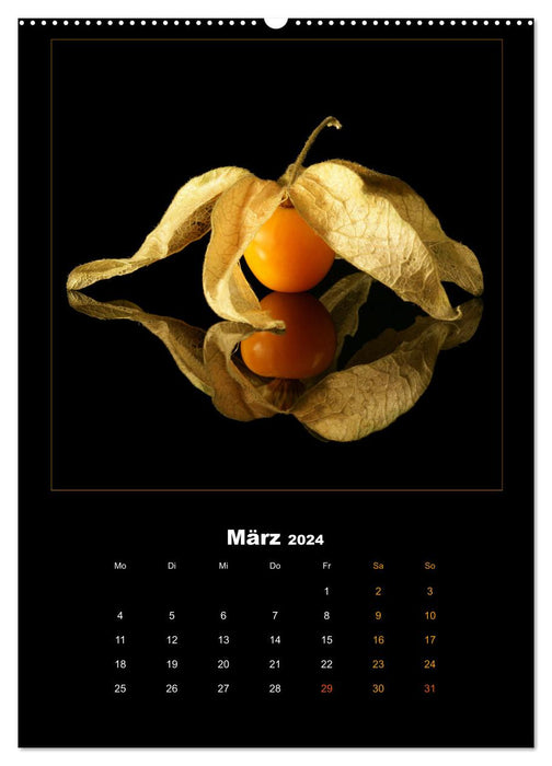 Vegan Food Kalender – Obst und Gemüse auf Schwarz (CALVENDO Premium Wandkalender 2024)