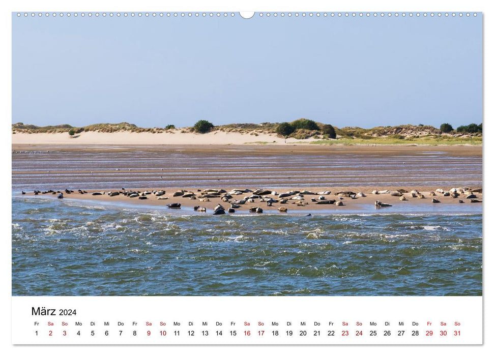 East Frisia - A year in pictures (CALVENDO Premium Wall Calendar 2024) 