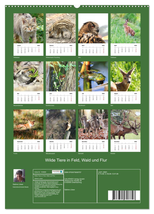 Wild animals in fields, forests and meadows (CALVENDO Premium Wall Calendar 2024) 