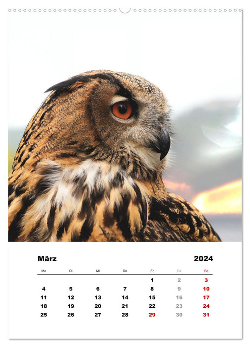 Wild animals in fields, forests and meadows (CALVENDO Premium Wall Calendar 2024) 