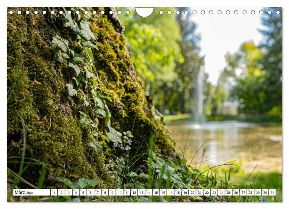 Nature up close calendar (CALVENDO wall calendar 2024) 