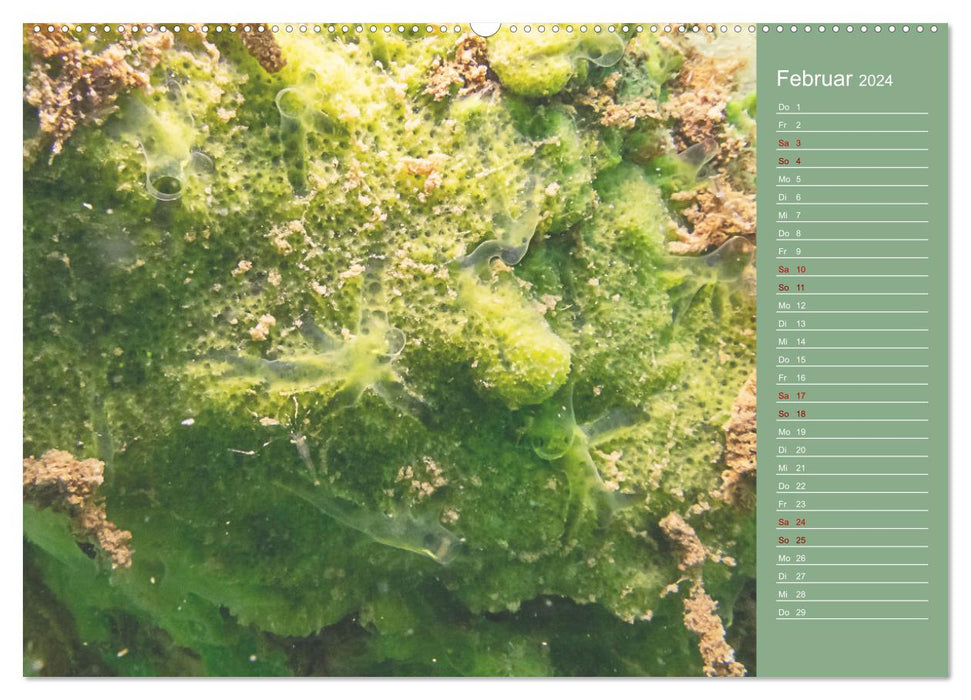 Baggersee -hautah (CALVENDO Premium Wandkalender 2024)