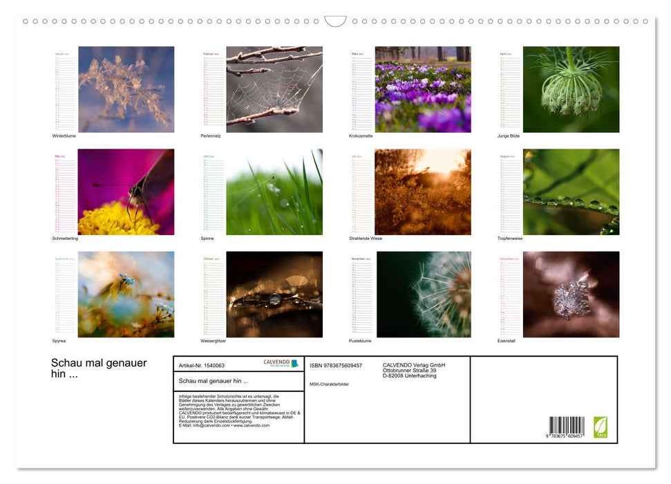 Schau mal genauer hin ... Detailfotografie aus unserer wunderschönen Natur (CALVENDO Wandkalender 2024)