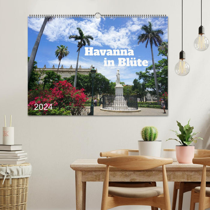 Havana in bloom (CALVENDO wall calendar 2024) 