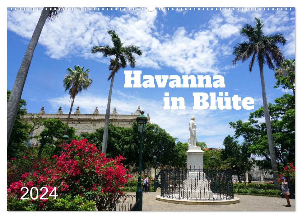 Havanna in Blüte (CALVENDO Wandkalender 2024)