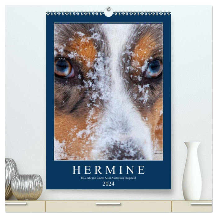 Hermine - Ein Jahr mit einem Mini Australian Shepherd (CALVENDO Premium Wandkalender 2024)