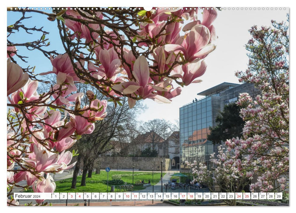 Hildesheim Entdeckungstour in Stadt und Landkreis (CALVENDO Wandkalender 2024)