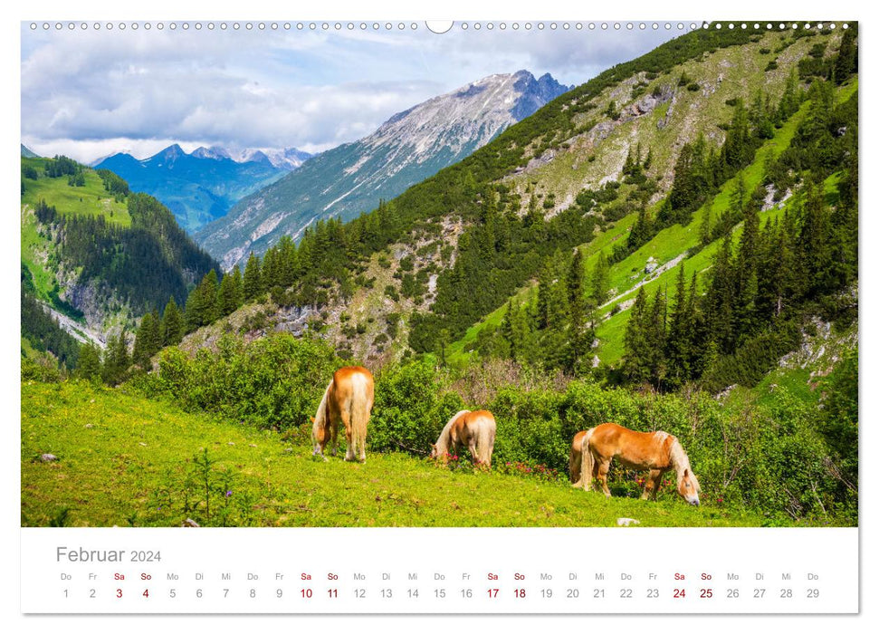 Die Alpen - Wandern durch die schönste Bergregion Europas. (CALVENDO Wandkalender 2024)