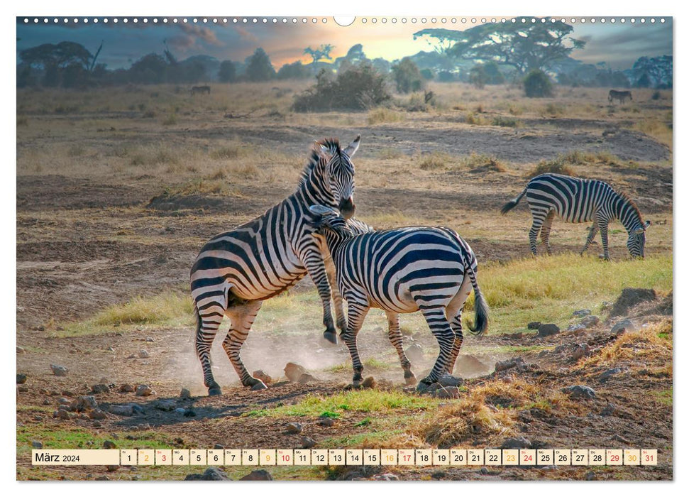 Tierkampf - Rivalen vertreiben (CALVENDO Wandkalender 2024)