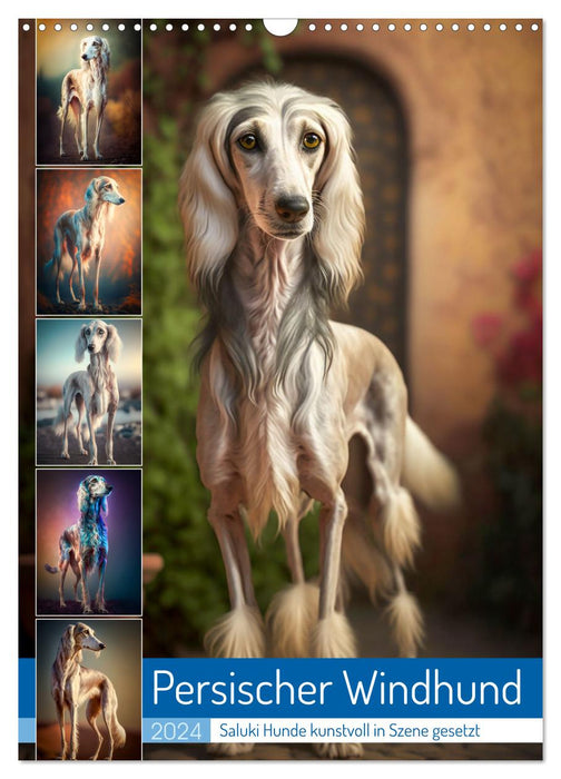 Persischer Windhund (CALVENDO Wandkalender 2024)
