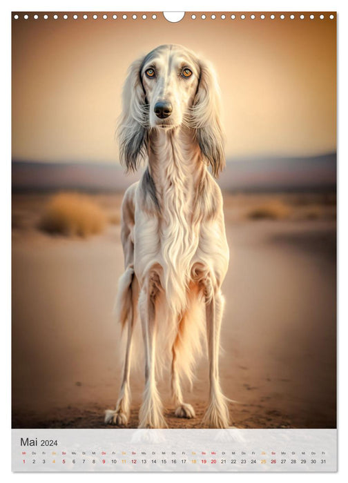 Persischer Windhund (CALVENDO Wandkalender 2024)