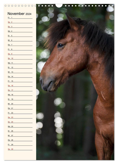 Icelandic birthday calendar (CALVENDO wall calendar 2024) 