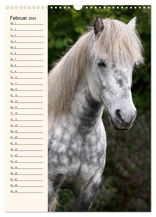 Icelandic birthday calendar (CALVENDO wall calendar 2024) 