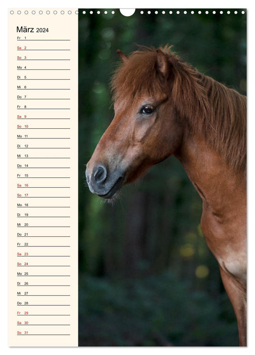 Icelandic birthday calendar (CALVENDO wall calendar 2024) 