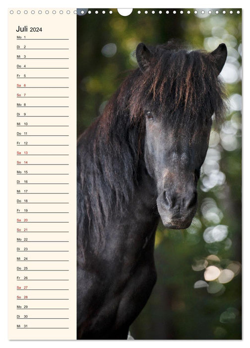 Icelandic birthday calendar (CALVENDO wall calendar 2024) 