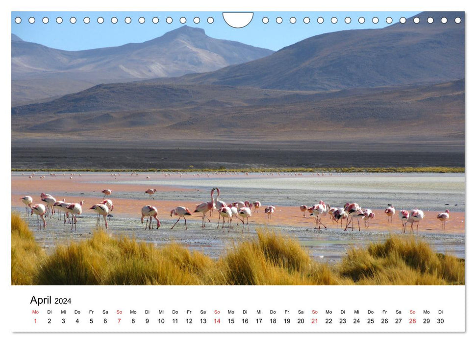 Bolivie - La perle secrète de l'Amérique du Sud (Calendrier mural CALVENDO 2024) 