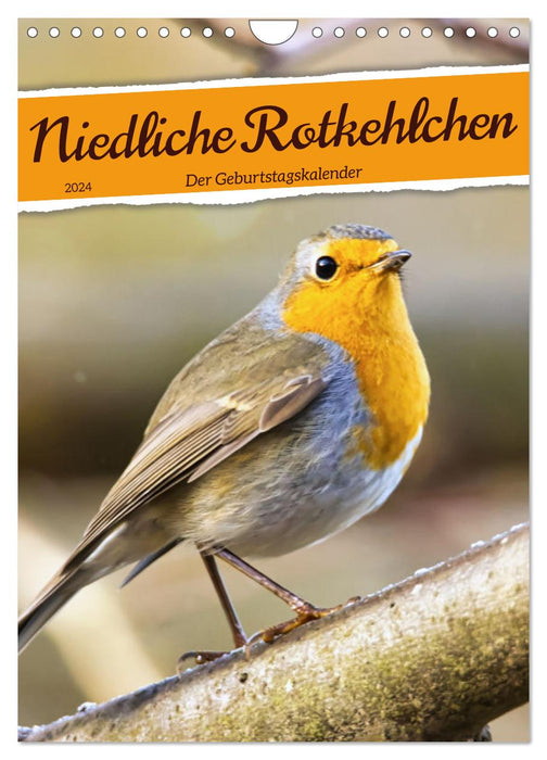 Niedliche Rotkehlchen (CALVENDO Wandkalender 2024)