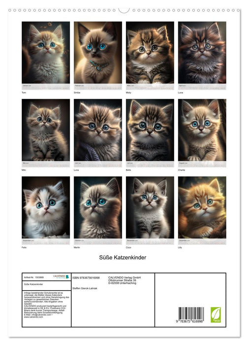Süße Katzenkinder (CALVENDO Premium Wandkalender 2024)