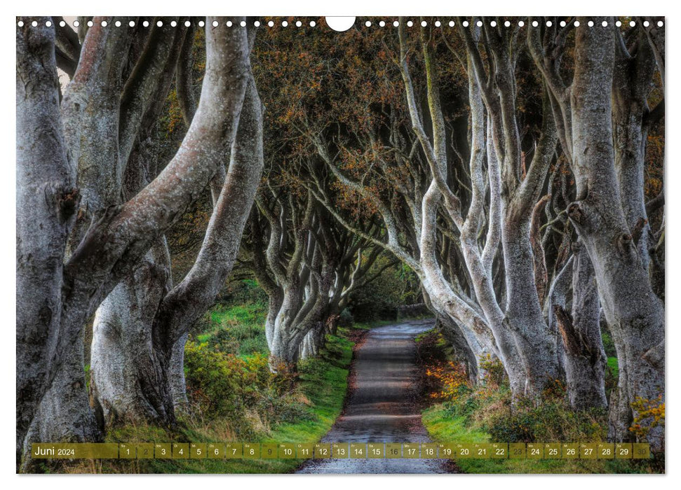 Irland im Herbst (CALVENDO Wandkalender 2024)