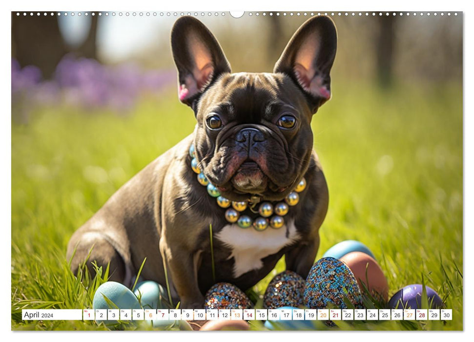 Französische Bulldoggen (CALVENDO Premium Wandkalender 2024)