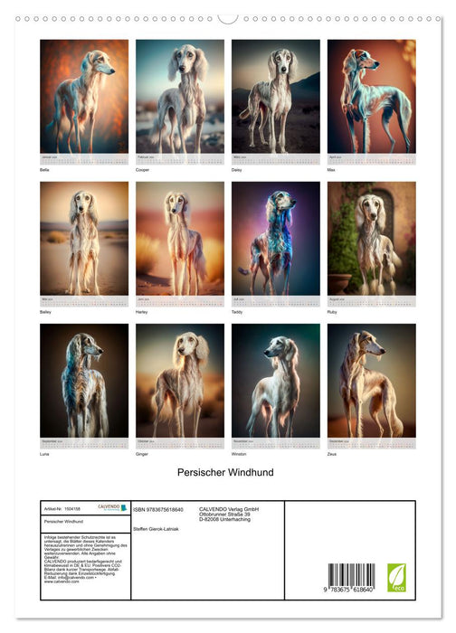 Persischer Windhund (CALVENDO Premium Wandkalender 2024)