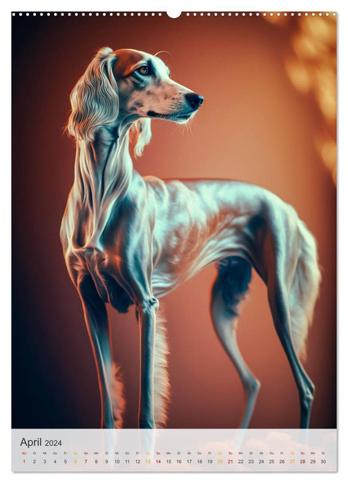 Persischer Windhund (CALVENDO Premium Wandkalender 2024)