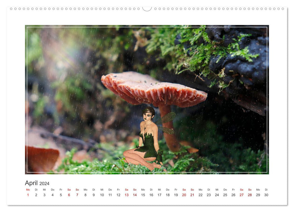 Pilze im Elfenwald (CALVENDO Premium Wandkalender 2024)