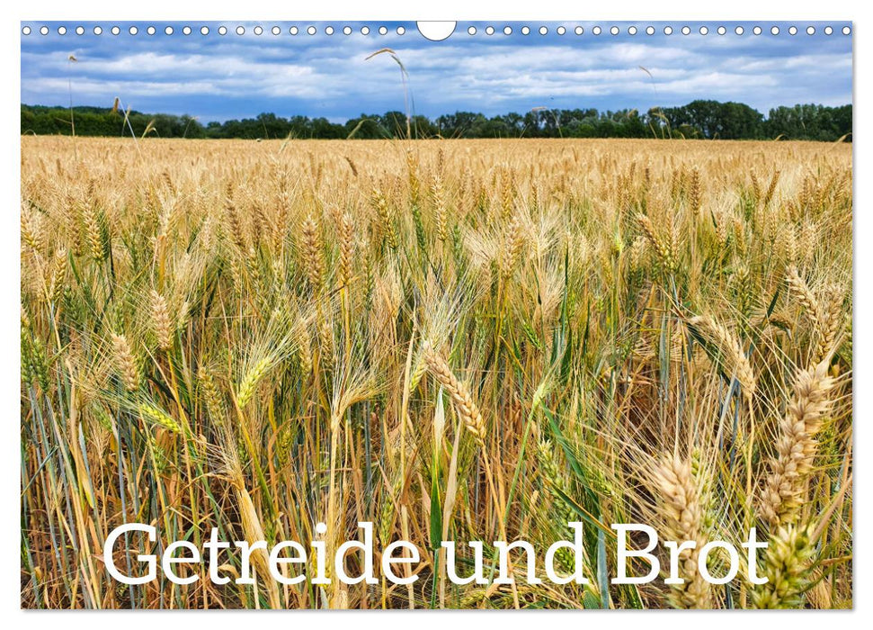 Getreide und Brot (CALVENDO Wandkalender 2024)