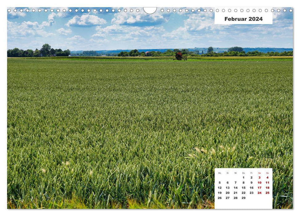 Getreide und Brot (CALVENDO Wandkalender 2024)